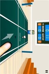 game pic for 3D Badminton